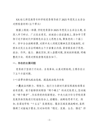 XX幼儿师范高等专科学校党委领导班子2025年度民主生活会对照检查材料(五个带头)