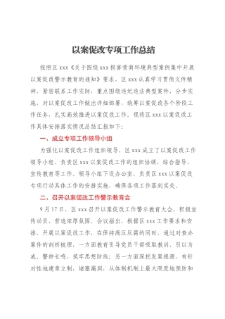 以案促改专项工作总结
