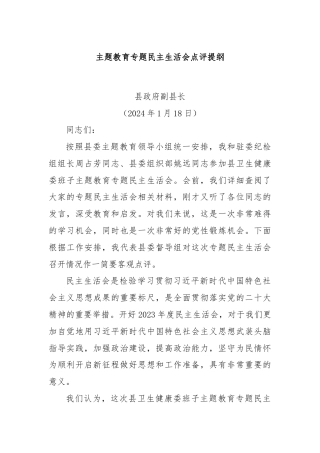 主题教育专题民主生活会点评提纲.