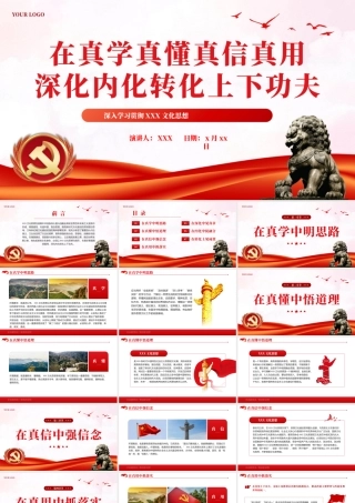 在真学真懂真信真用深化内化转化上下功夫党课课件PPT