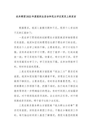 在共青团2022年度组织生活会和民主评议党员上的发言.