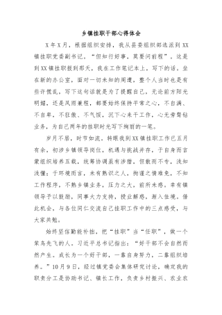 乡镇挂职干部心得体会.