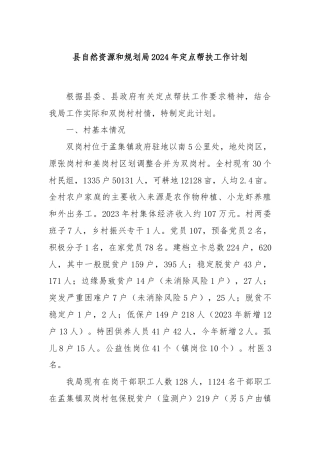 县自然资源和规划局2024年定点帮扶工作计划.