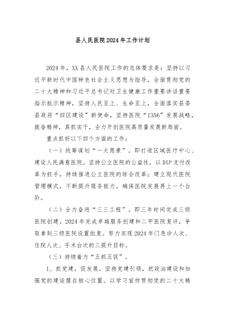县人民医院2024年工作计划.