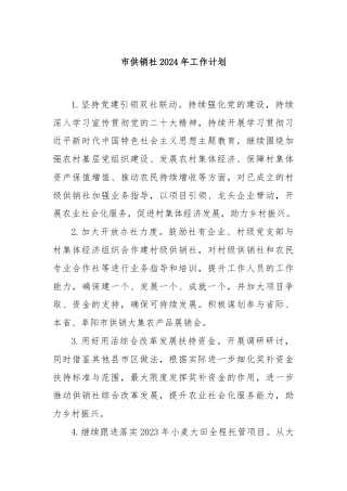 市供销社2024年工作计划.