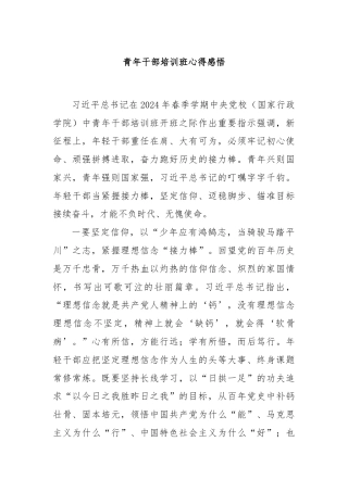 青年干部培训班心得感悟.