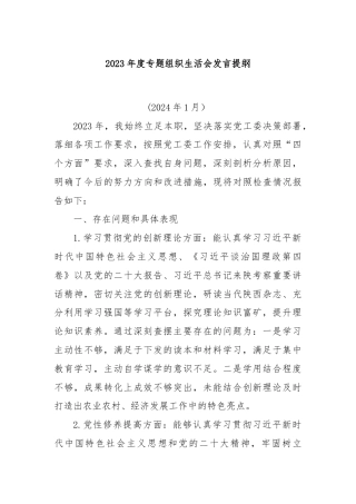 2023年度专题组织生活会发言提纲