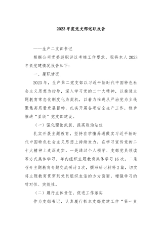 2023年度党支部述职报告.