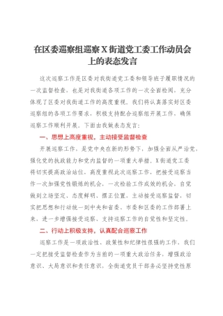 在区委巡察组巡察X街道党工委工作动员会上的表态发言