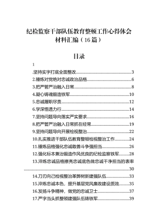 纪检监察干部队伍教育整顿工作心得体会材料汇编（16篇）