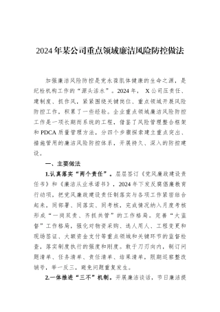 2024年某公司重点领域廉洁风险防控做法