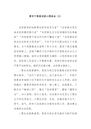 青年干部培训班心得体会（3）
