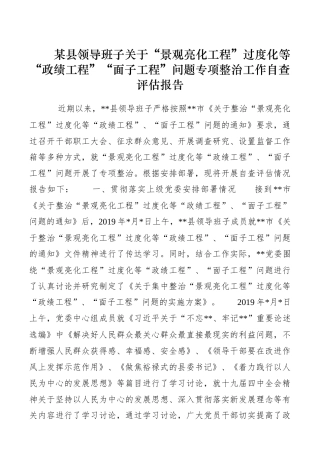 某县领导班子关于“景观亮化工程”过度化等“政绩工程”“面子工程”问题专项整治工作自查评估报告
