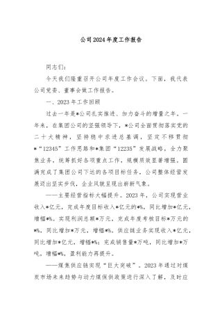 公司2024年度工作报告