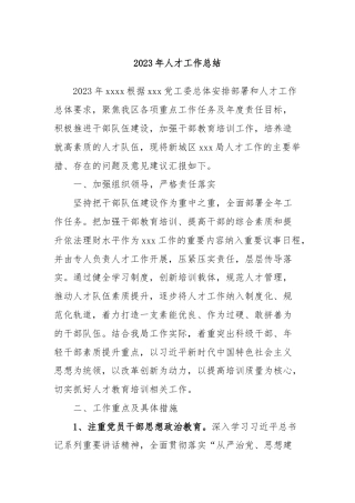 2023年人才工作总结