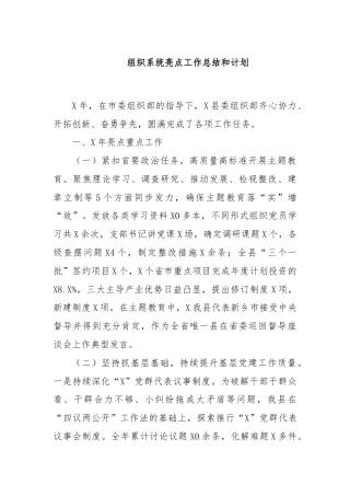 组织系统亮点工作总结和计划