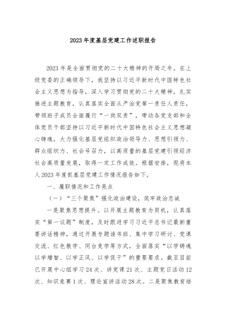 2023年度基层党建工作述职报告.