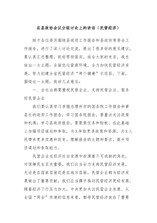 在县政协会议分组讨论上的讲话（民营经济）