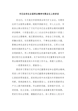 书记在传达全国两会精神专题会议上的讲话