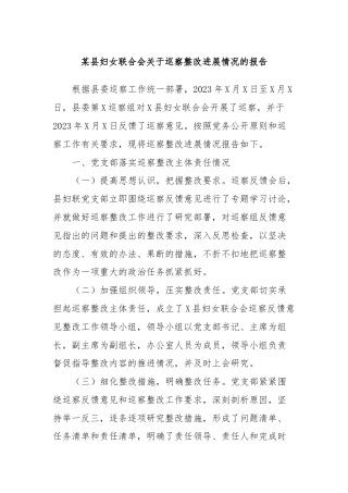 某县妇女联合会关于巡察整改进展情况的报告