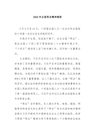 2023年全国两会精神感悟