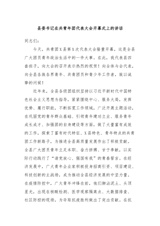 县委书记在共青年团代表大会开幕式上的讲话