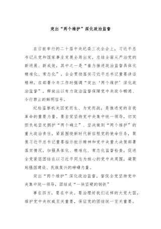 突出“两个维护”深化政治监督