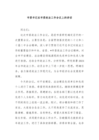 市委书记在市委政法工作会议上的讲话