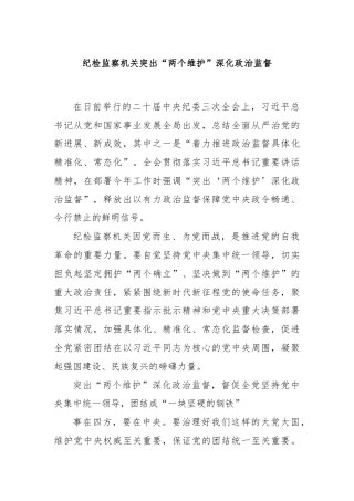纪检监察机关突出“两个维护”深化政治监督