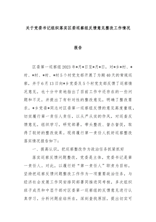关于党委书记组织落实区委巡察组反馈意见整改工作情况报告