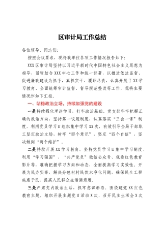 区审计局工作总结