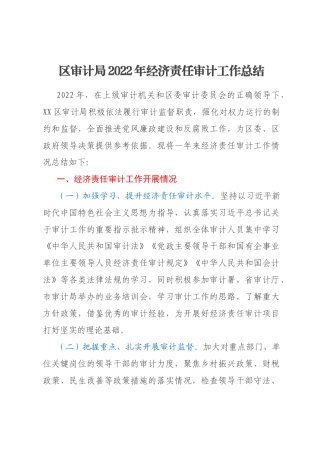 区审计局2022年经济责任审计工作总结