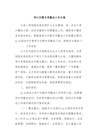 审计问题专项整治工作方案