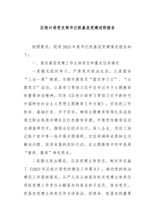 区统计局党支部书记抓基层党建述职报告
