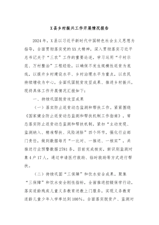 X县乡村振兴工作开展情况报告
