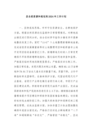 县自然资源和规划局2024年工作计划