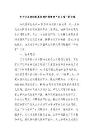 关于开展政治巡察反馈问题整改“回头看”的方案