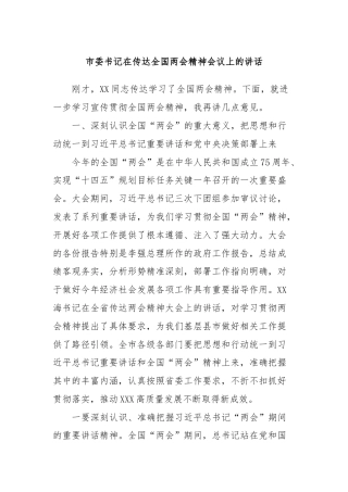市委书记在传达全国两会精神会议上的讲话
