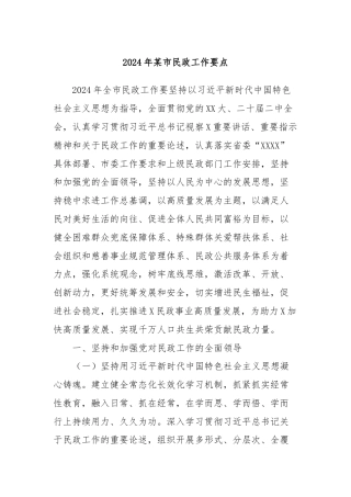 2024年某市民政工作要点