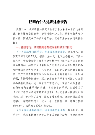 任期内个人述职述廉报告