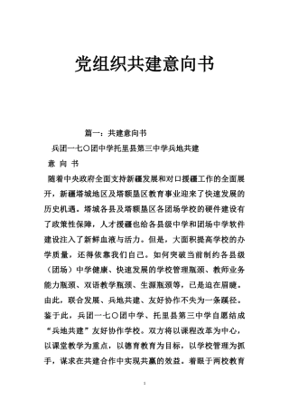党组织共建意向书