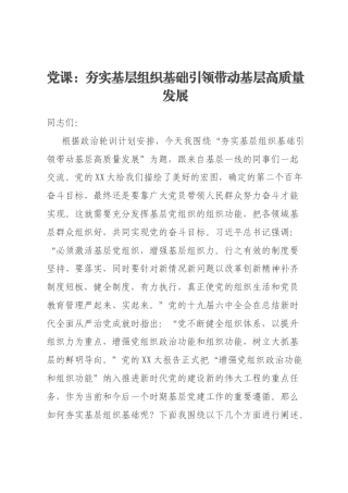 党课：夯实基层组织基础引领带动基层高质量发展