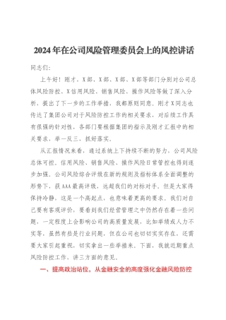 2024年在公司风险管理委员会上的风控讲话