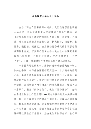在县政府全体会议上讲话