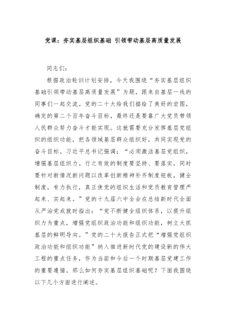 党课：夯实基层组织基础 引领带动基层高质量发展