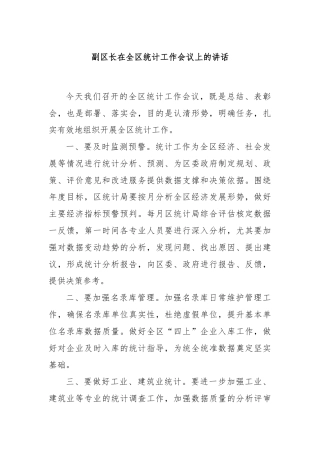 副区长在全区统计工作会议上的讲话