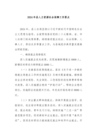 2024年县人力资源社会保障工作要点