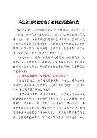 应急管理局党委班子述职述责述廉报告