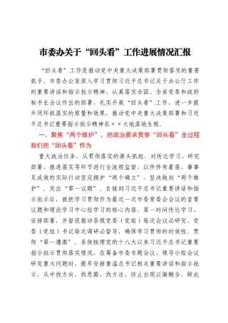 市委办关于“回头看”工作进展情况汇报