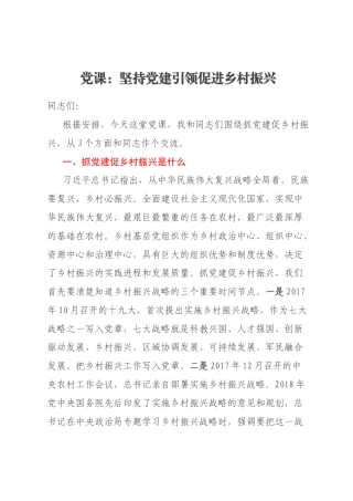 党课：坚持党建引领促进乡村振兴